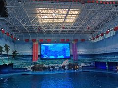 -多彩贵州城极地海洋世界