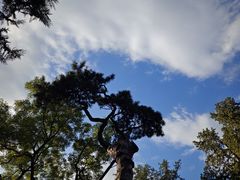 -香山公园