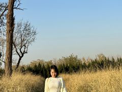 -汉长安城未央宫国家考古遗址公园