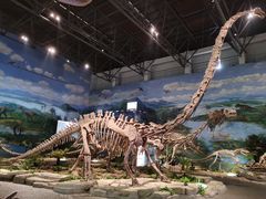 -自贡恐龙博物馆
