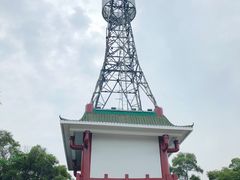 -金鸡山公园