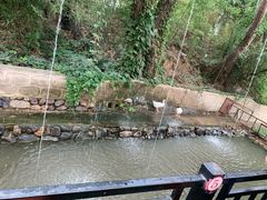 -丽泽山庄·生态怀柔菜·虹鳟鱼(红螺寺店)