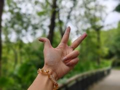 -金鸡山公园