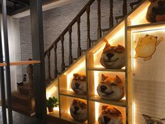 -喵屋coffee