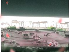 -鼎盛王朝康熙大典实景演出