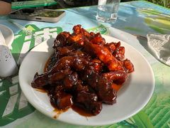 -绿野餐厅(上海动物园店)