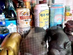 -济州爱肉堂(总店)
