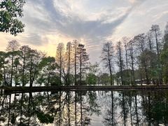 -东湖落雁景区