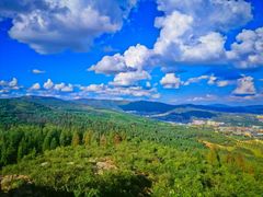 -长虫山生态公园风景林