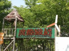 -嘉北郊野公园