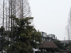 -绍兴鲁迅故里·沈园景区