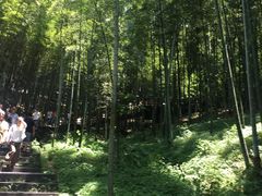 -天目湖山水园