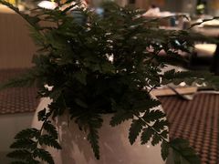 -上海滴水湖皇冠假日酒店