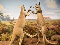 -陕西自然博物馆