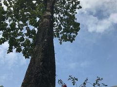 -广州市紫泥堂文化创意园景区
