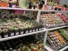 -KKV(深圳宏发大仟里店)