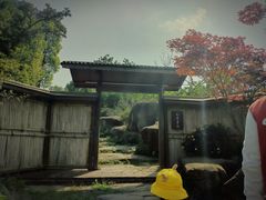 -秀丽东方