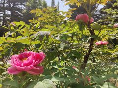 -国家植物园南园