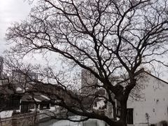 -青果巷历史文化街区