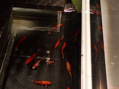 -曲园酒楼(老江东店)