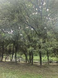 -爱儿美儿童摄影(奥森公园店)