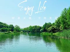 -尚贤河湿地