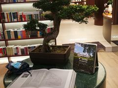 -二酉书店TOYOU BOOKS