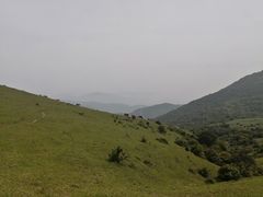 -大姆山草场