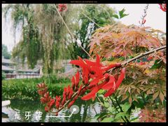 -成飞公园