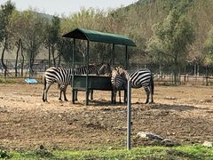 -哈尔滨北方森林动物园
