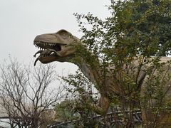 -自贡恐龙博物馆