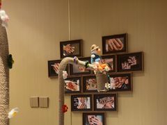 -海底捞火锅(武胜路凯德广场店)