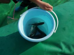 -小蜜蜂农场(凯德七宝购物广场店)