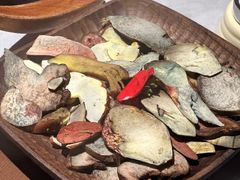 -芸山季·云南山珍菌火锅(人民广场来福士店)