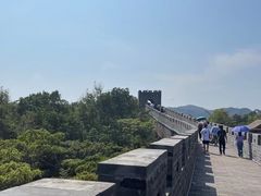 -黄贤森林公园
