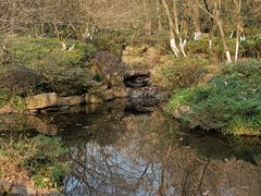 -杭州半山国家森林公园