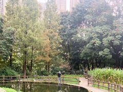-成都市活水公园