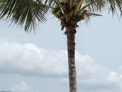 -三亚太阳湾柏悦酒店