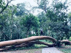 -华南国家植物园-售票处