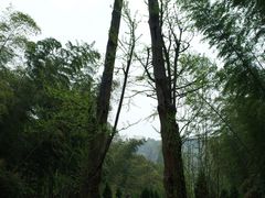 -东钱湖旅游度假区