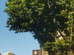 -荔湾湖公园