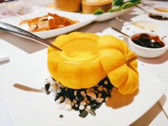 -梧桐