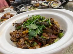 -麒麟中餐厅·经典粤菜·地道菜式老字号(广州长隆酒店)