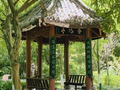 -龙头寺公园