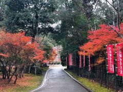-醍醐寺