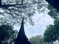 -上海佘山国家森林公园天马山园