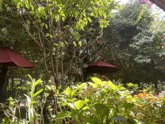 -月亮眼花园餐厅书吧酒吧
