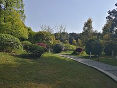 -铁山坪森林公园