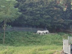 -宁波野生动物园