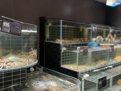 -浩运·海鲜青岛菜·海胆水饺(石老人店)